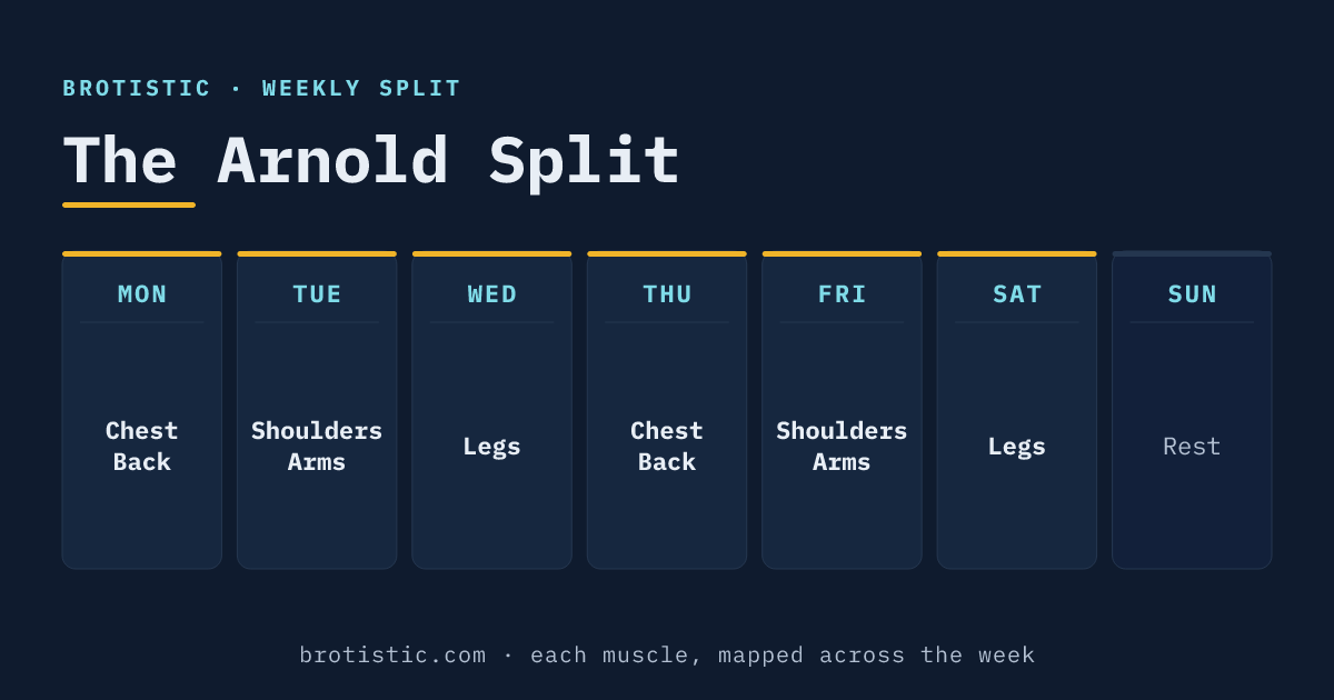 Arnold split weekly schedule: Chest and Back, Shoulders and Arms, Legs, each trained twice across six days