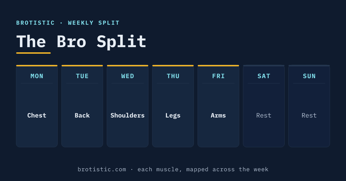 Bro split weekly schedule: Chest, Back, Shoulders, Legs, Arms across five days