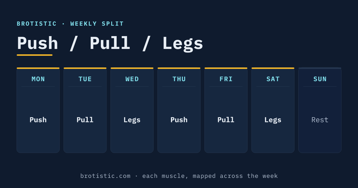 Push Pull Legs weekly split: Push, Pull, Legs repeated across a 6-day schedule