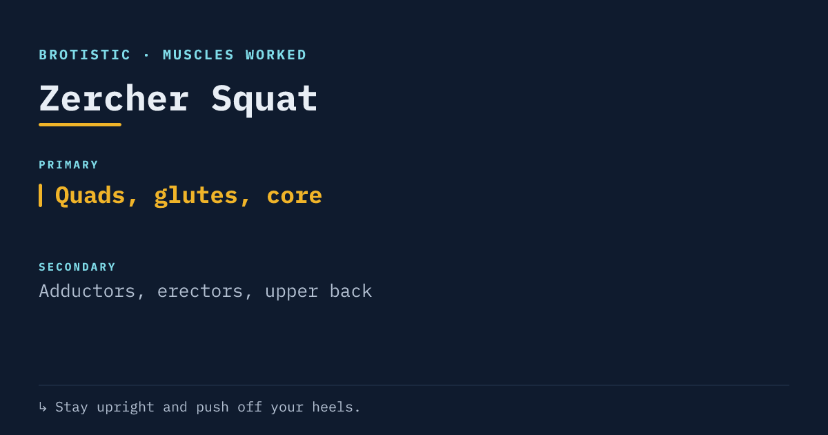Muscles worked by the zercher squat: primary quads, glutes and core, secondary adductors, erectors and upper back